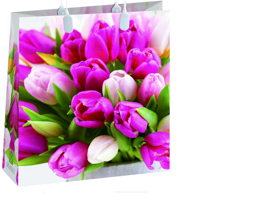 �� ����� ��������! ���������� ������ � ������-�����. ��� � �������! 