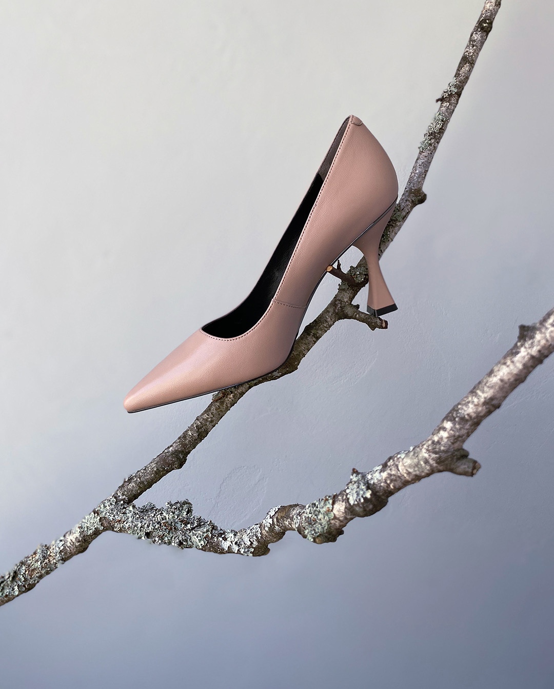 � ���� ������ ���������� � ������� ����� � �������� �������� ����� ������� �������� �������� ����� ����� �������������.