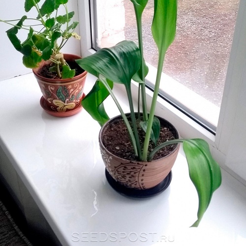 ����� ��������, ������� �� ����������! ������ ���������� �� ��� 100 �� �����, ��������, �������� � ��..