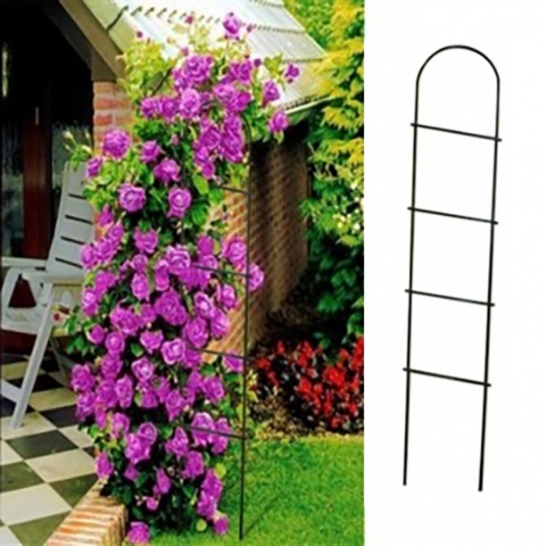 ��� ��������� ���� �������� ��������! �������� ��������, ���� � �.�.  ��������� �������� ������� ������� >>>