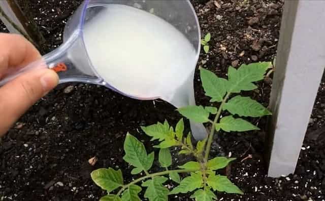 ��������� ��������� ������� � ������� � ������� � �������� ������ - �������� �������