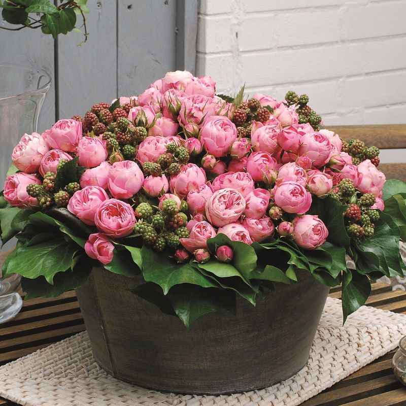 ���� �������. ������� ��� �� �������� ��������� ������������� �������/5. ��������� �� ����� 2022�