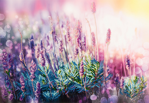 ���� �������. �������� �������: ������� �� 165� ������� �� 132�. ������� ��������, ������������ ������. ��������� �� ������� 11/21