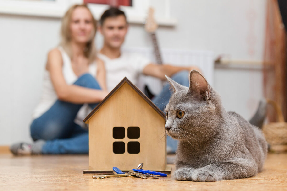 ��������� �������� ��� ������� �� � �������