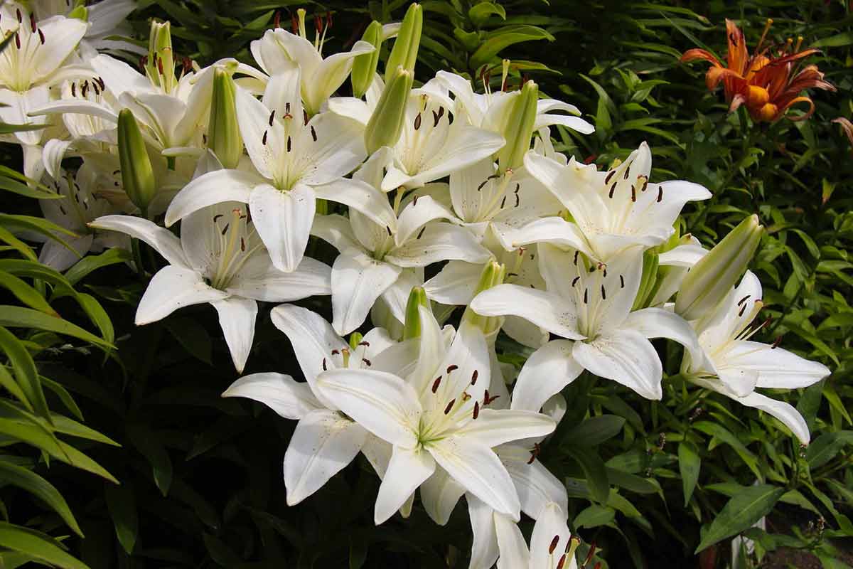 �����.����� 2021 