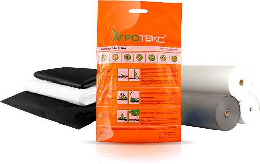 �������� ��������. ��������� � ���� �������.