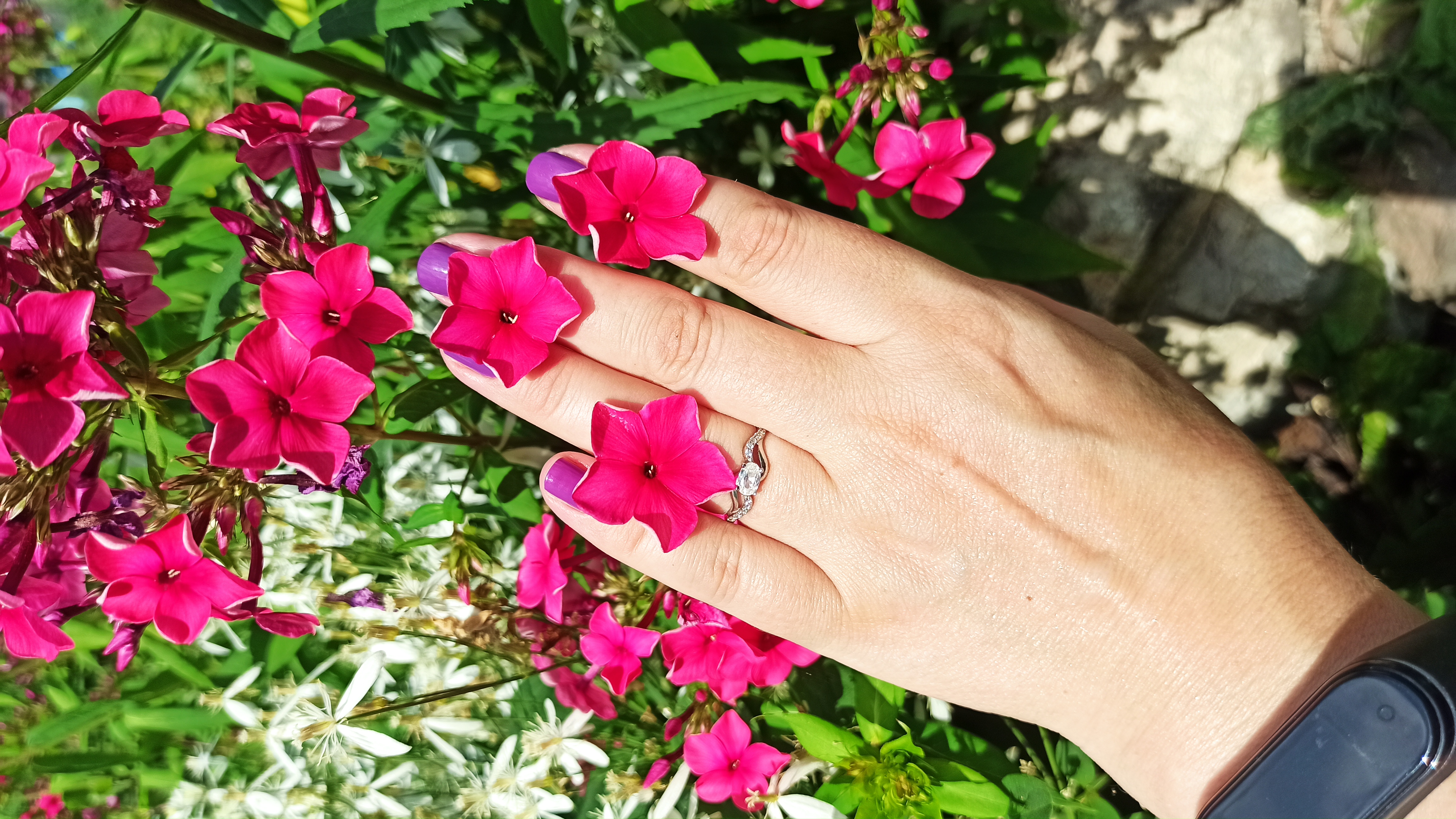 �������� ��������� ������, ������������ annyne, �� ����������� �������� ��������� �������!  