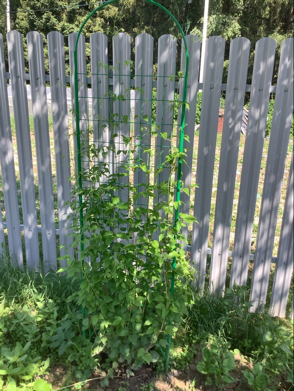 ��������� ��� �������� �������� ��� �������� �������� ������������� ������������ ����� � ���������. ������� ������ ��ۣ��� - ������ ������ ��� �������� - �������� ������, ��������� � ������ �������.