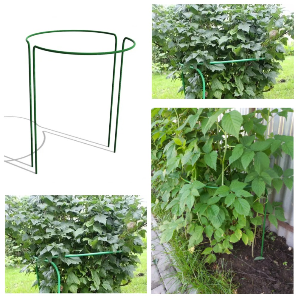 ������� ����� ������ ������ , ���������� �����, ���������� ����������� ��������  -  � ����� �������� ������� ����������� ���������� ��������������.������� ������.