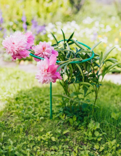 ������� ������������� ����� ��� ������� ������, � ����� ��������� �����������. �������� ��������� �������� ����������� �� �������� ������� � ������� � ������>>>