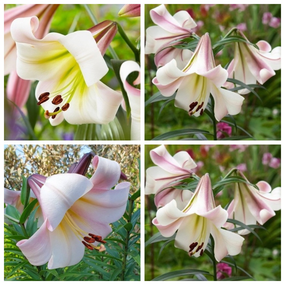 ����� ����!���������������!�������� ����� � �������� ������ ������� ����� ������ ��� ���� 169 ���-2 �������� � ��������