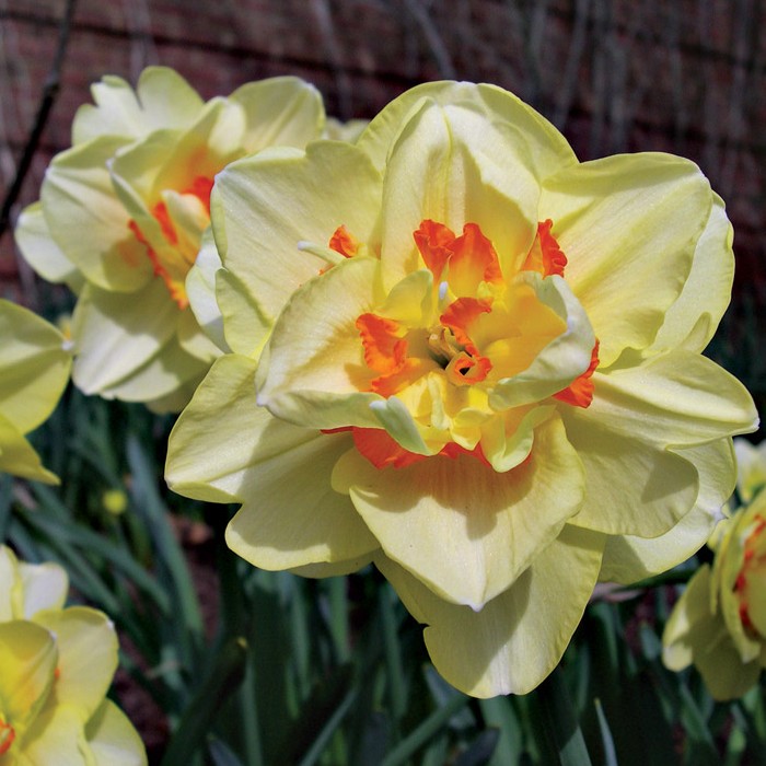 ����� ����!���������������!������� � ������������ �������� ������ ������� - �������� � ��������� ��������. �������� ���������� � ������-���.���� 64 ���-2 �� � ��������