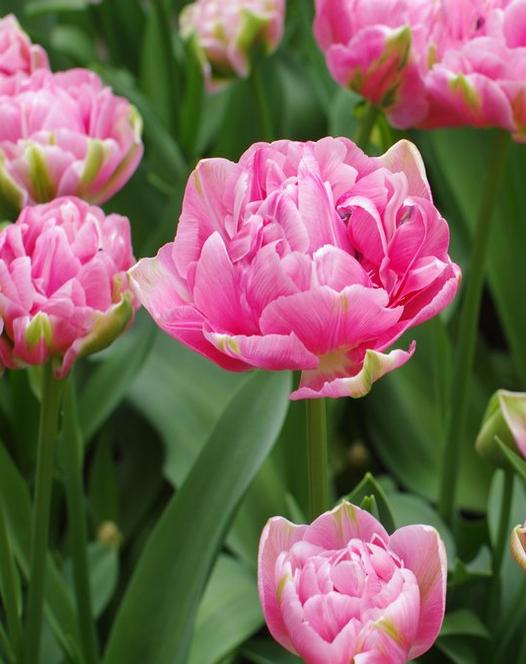 ����� ����!���������������!������� Aveyron (�������) ������ �������������, ������������ ������ �����. ������� ������� / Aveyron������� ������� / Aveyron������� ������� / Aveyron ��� �������: 5066 �������������: ���������      ���: ����������� ����: ������