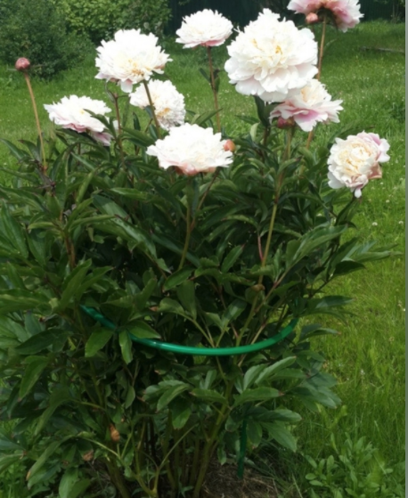 ���� 25.07.������� ������������� ����� ��� ������� ������, � ����� ��������� �����������. �������� ��������� �������� ����������� �� �������� ������� � ������� � ������.