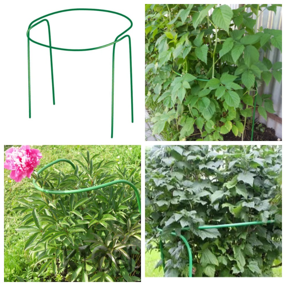 ���� 25.07.�������������� ������ � ������� ��������� ����� ������ ����������, ���������, ������, ���������, ������ �������� � ������, �� ����� �� ���������� �� �����. 