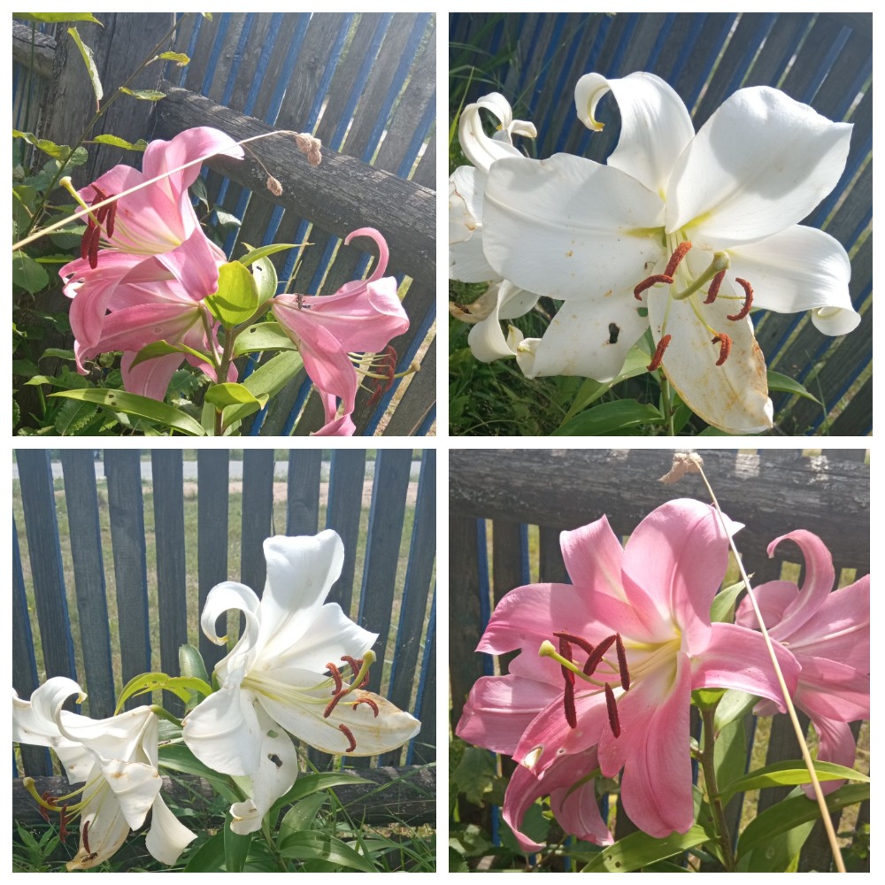 ���������� ���� ���������� �����!!!!!��� ������ ����������!������ �����!!!����������� � ��� ���� � ����� �������, ������ ��� ����, �� ����� ����!