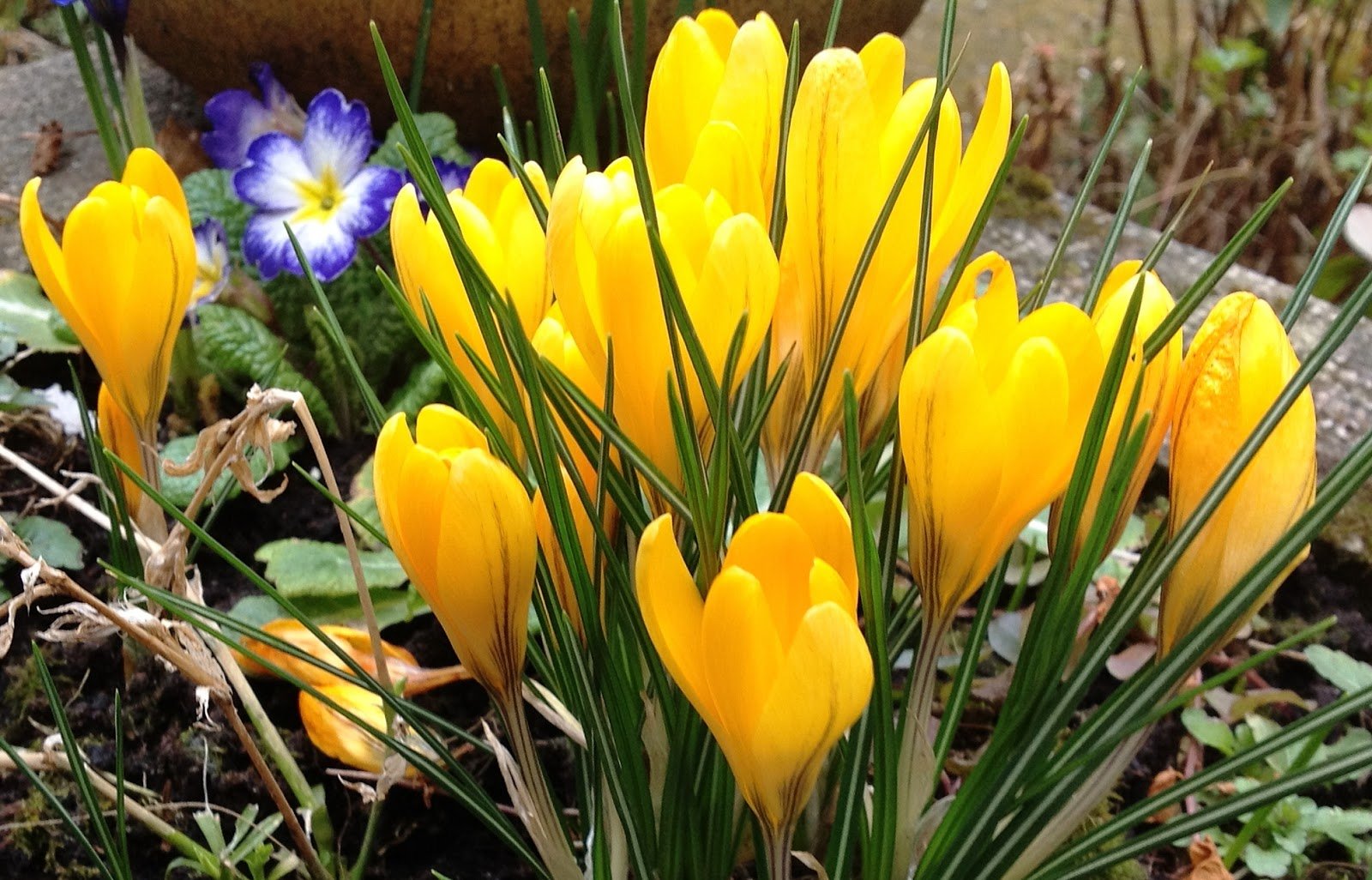 ���� �� ����� ������ ����������� � �������� ����. ������ ��� ����� ������ ���������� ���������� ��� ���������� ����� � ������, ������� �������� ��� ����������� �������.������ �������-������ � �������� �������� ��������� 4 ��. 