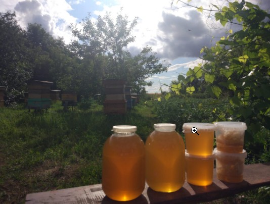 ��������� ������ ���! ���� � ��������!