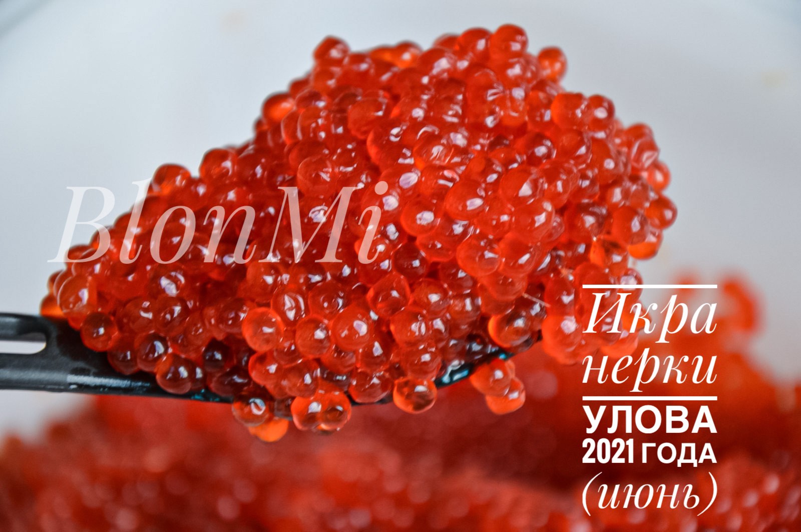 �������� ������� ����� 2021 ����, ������ ���������� ������� ���� �����, ����, �������