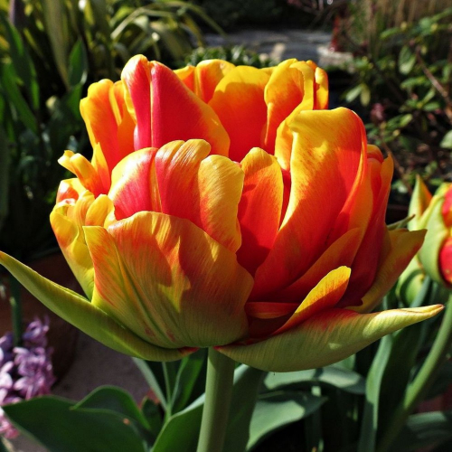 ������� �������� ������ ������� - ������� ������������ ������, ��������� �� ��������� ������� �����-������� ��������� � ������� ������ �������!