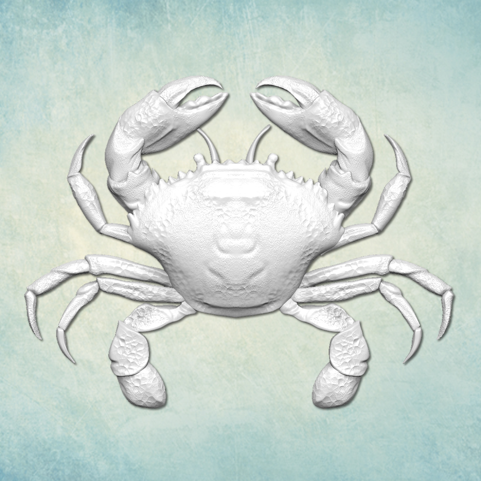 �������!  ���� "����" (M) ARTMD1508