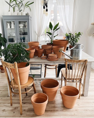 ����� ������ � ���� ������!������-������, ��������� ������