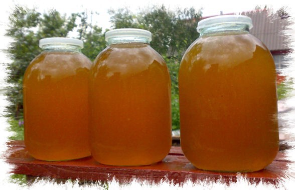 ���� �� 30.08. ������ ��� �� ����� ������! ������� ����� �� ������ ������. 1500 ��� 3 �����.