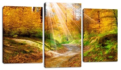 ���� �� 17.08. ��������� �������, ���� ����������� �������, ��������� �� ��������� ������ �����. ������� 350���., ��������� ������� �� 490���, ������������� ���� � ���������. ����������!