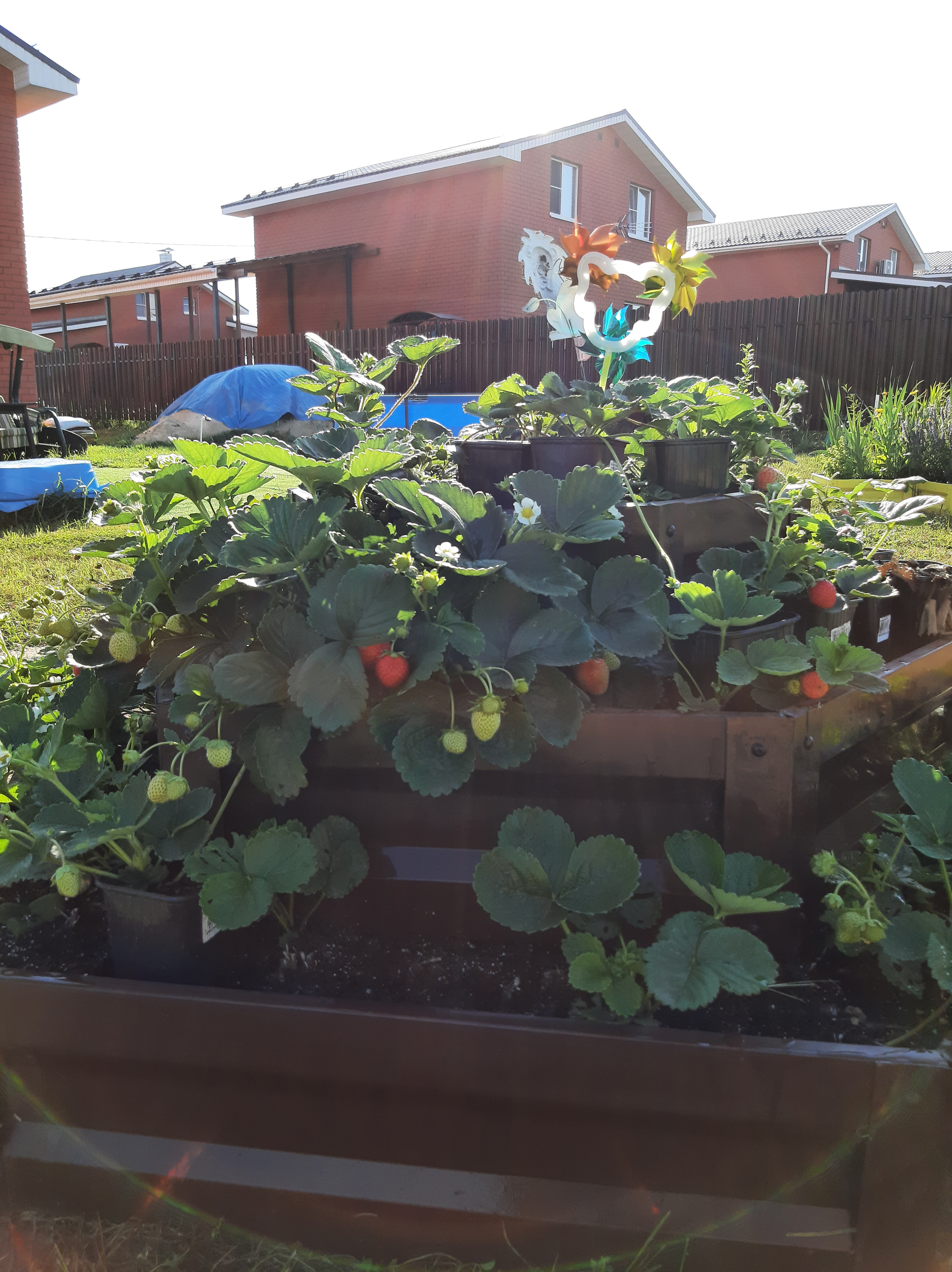 ������ � ���������� ��������� ������������ �����