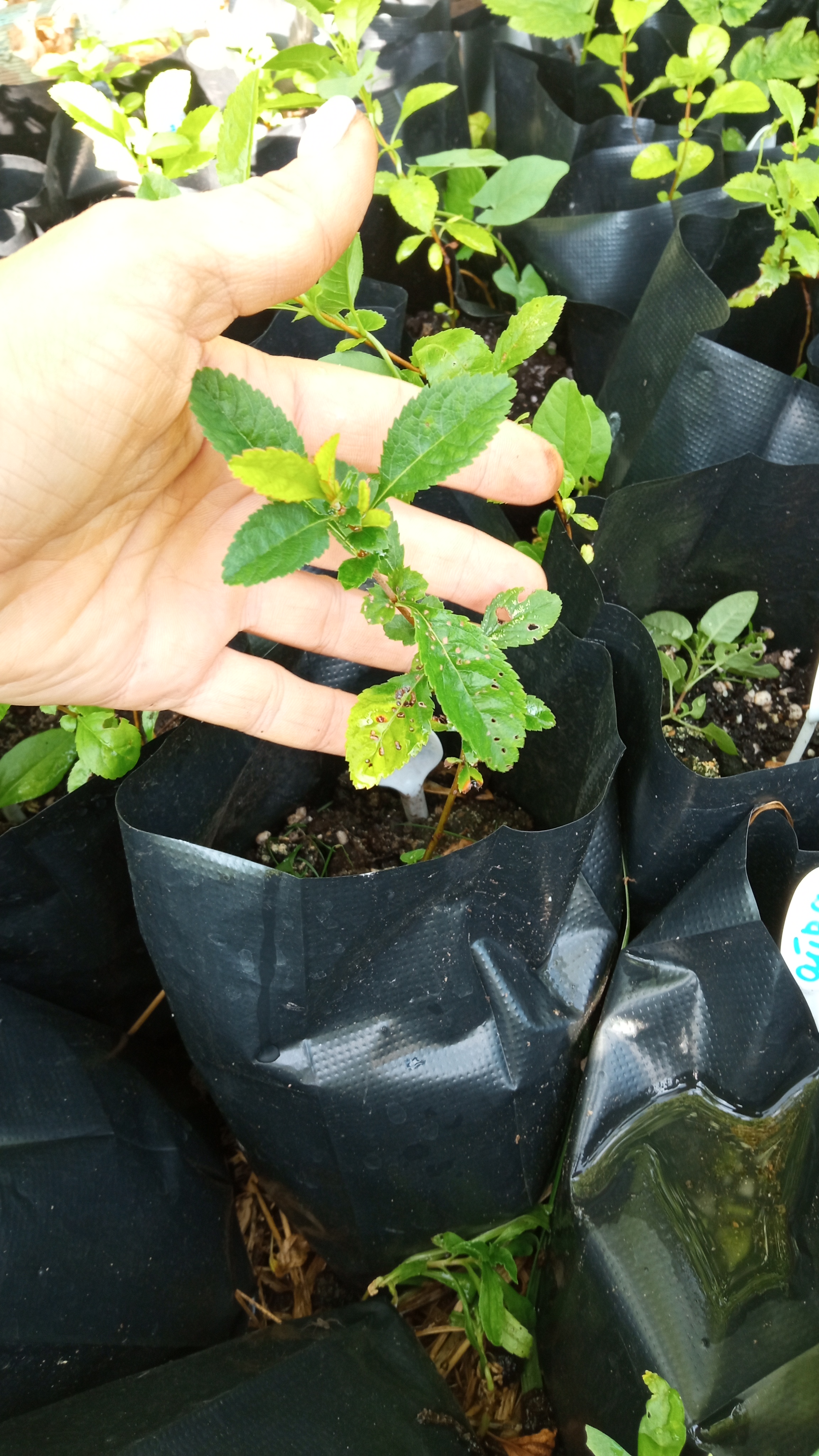 ������� ���� ������� ���� �� ���������! ���������!