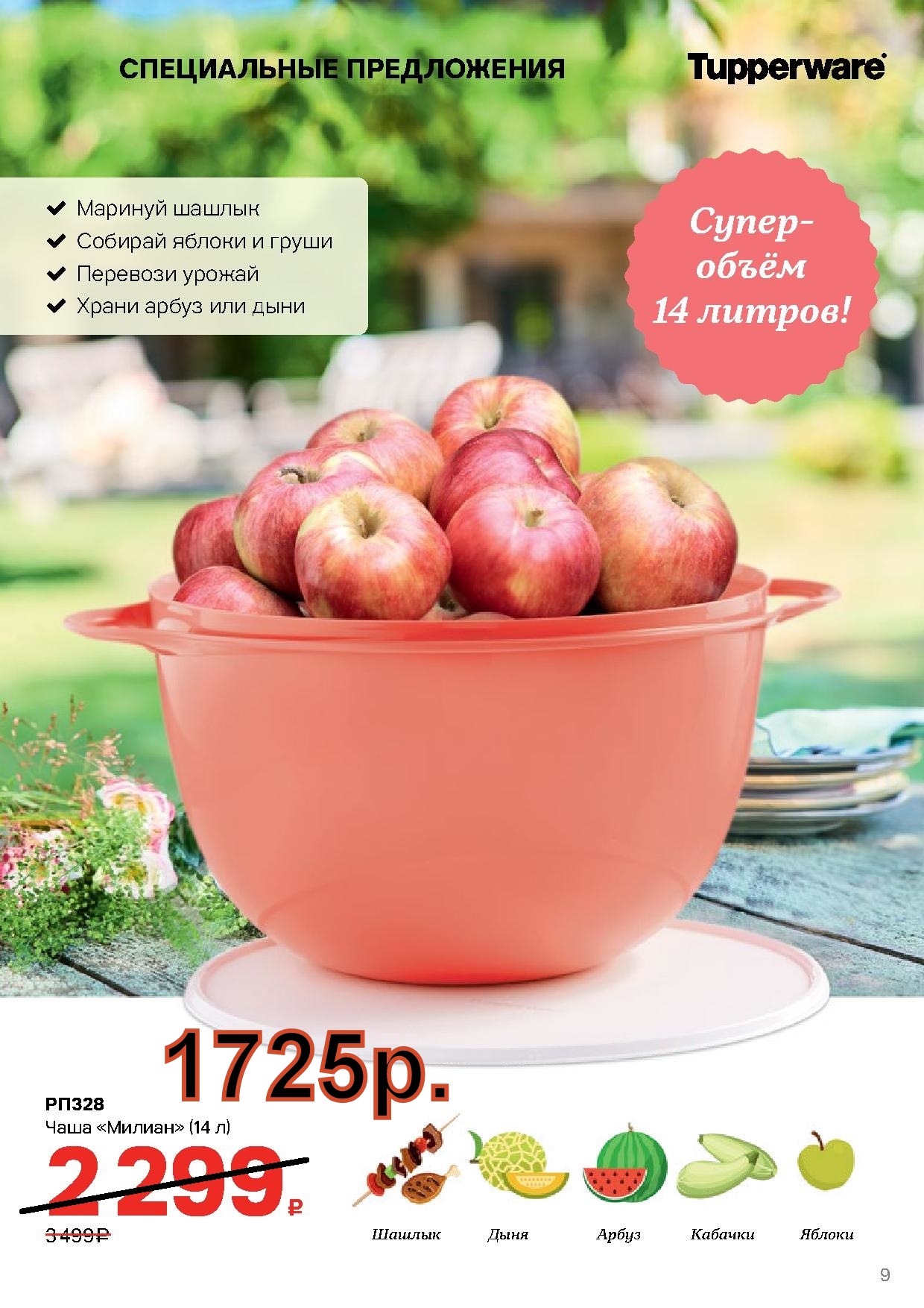 Tupperware ���� ������ 14 � - 1725 ��� (�.��������. ������� +79026808683)