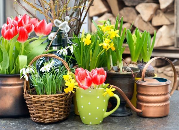 ��� ����� �����-4! ������ ����� ���������, ��������, �������, ����� � ��. �� ������������ �o�ck �� �����-2021