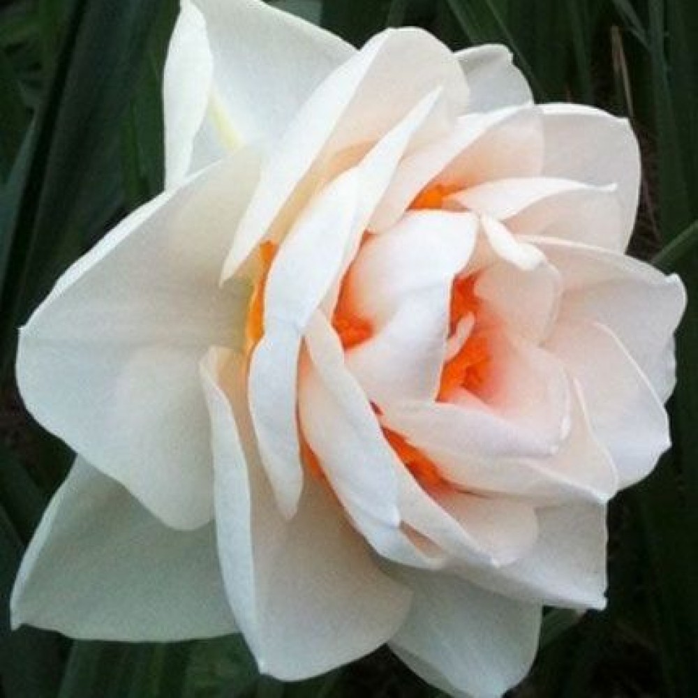 ��� ���� - ����������� �������� � ��������-������� �������, �� 14 �� � ��������. �������� ���������� � �������� ���