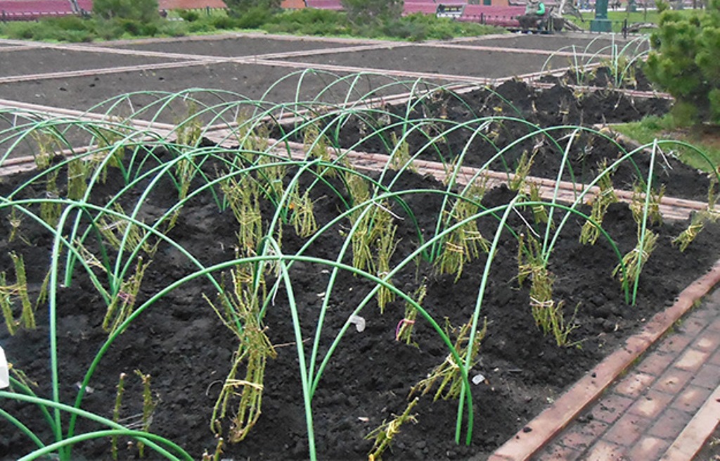 ������ ������� ��� ��� � ����������� �������� �������� �� �������. ���� ��� ������� ��� � ������ ��������! �������� ���������� �� �������!