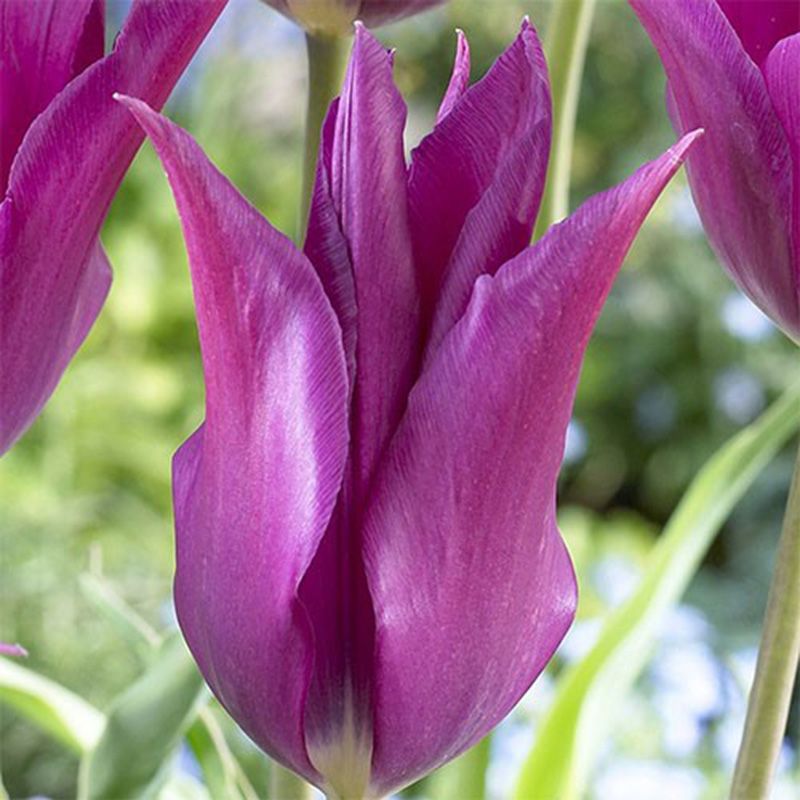 ������� ������������ ����� ���� - ����� ��������������� ���������� ��������. ������ � �������� ����� 10 �� ����� ��������� �����, ������� ����������� �� ���� ������ ��������!