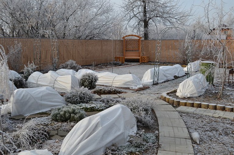 � ������� ������, ������ � ����� ��������, ���������� ������ ���������. �������� ���������� ���� � ����.