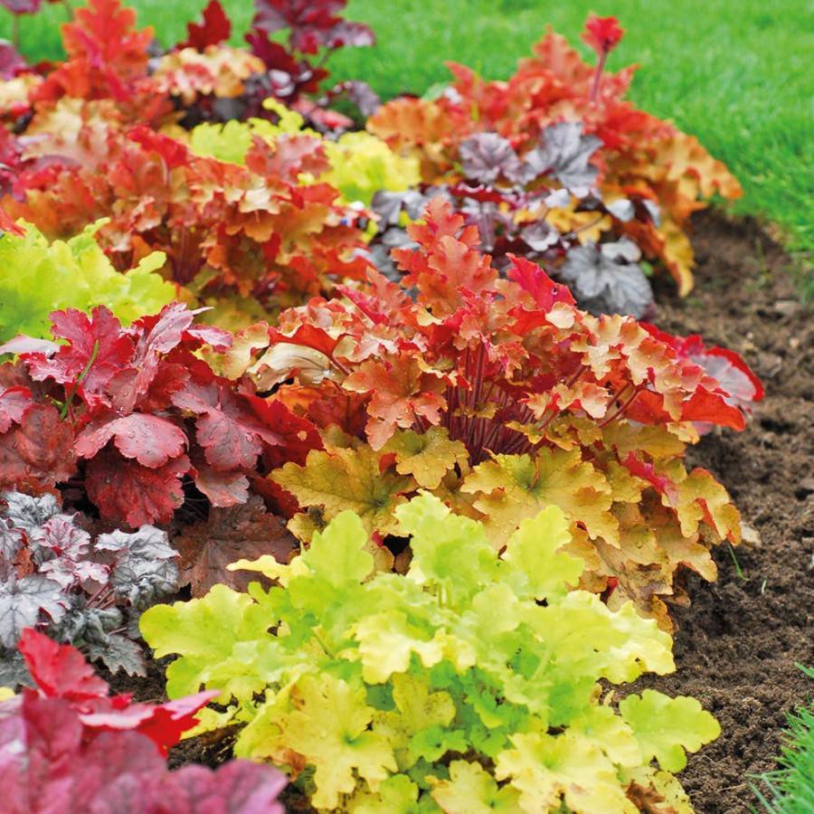 �������� ��� �� 16.08. ���������-��������� �������! ���������, �������, ��������, ����������, ������. ��������,������ ,��������, �������, ������, ��������� � ������. ��� ����!!!! ������� �������