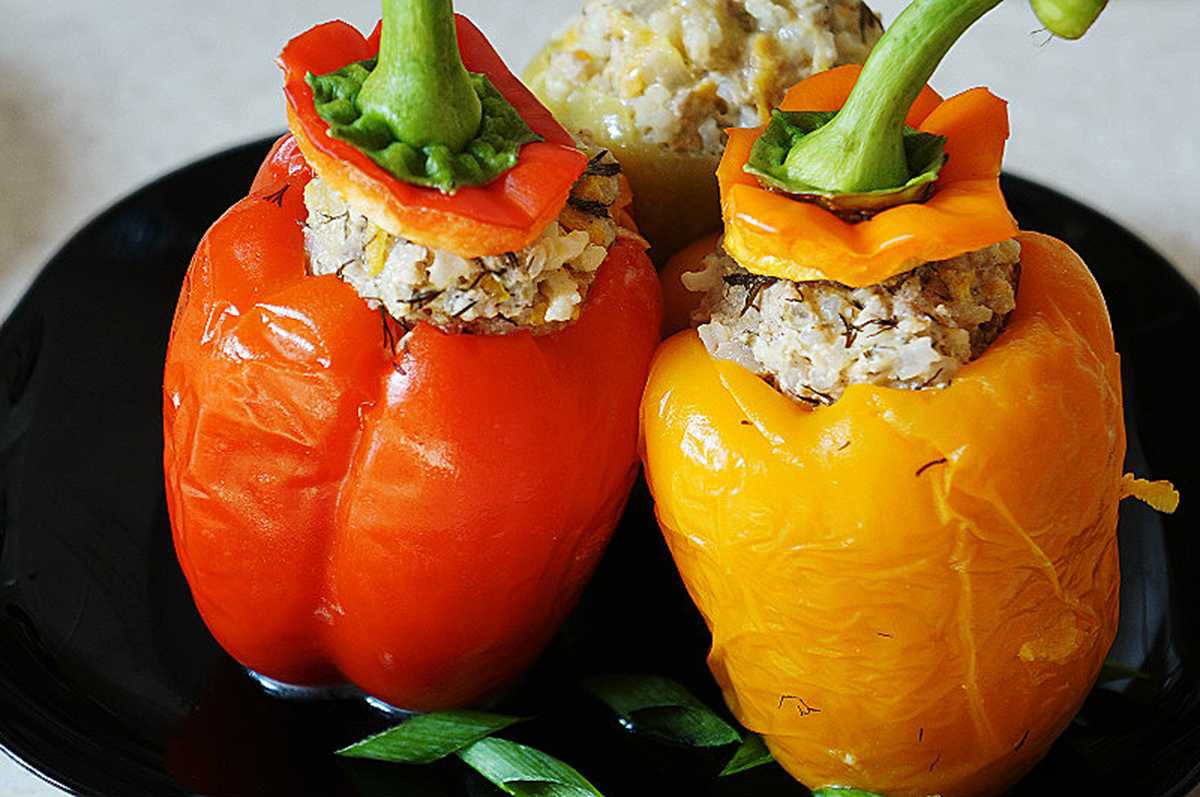 ������� ����. ����������� ���� �������, ������ �������, �������, ��������, �������� ������ ����� �� ��������� ���� � ��� ����� �������� � ���������. ���������.