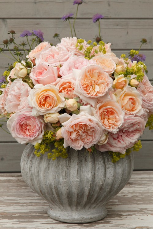 ���� �������. ���� �� ��������� ��������� ������.������ ������������ �������! ��������� �� ����� 2022�