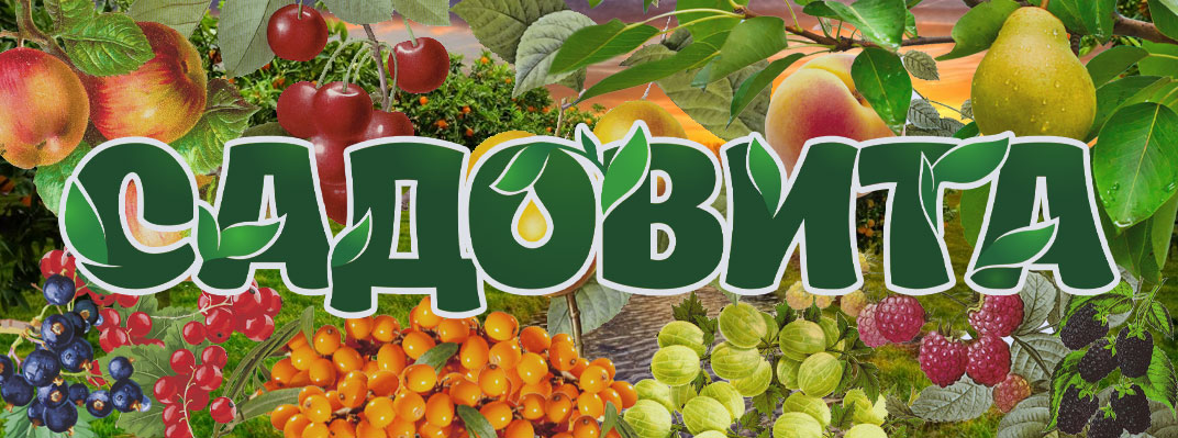 ���� �������. ������� �������� 5. �������� ������� � ����������. ����������� ����� ������������ �������� ��������, ������ 1 ��� � ���. � � ���� ���� ��� � ������������ ���������� � ��������. (�� 2 ��������).