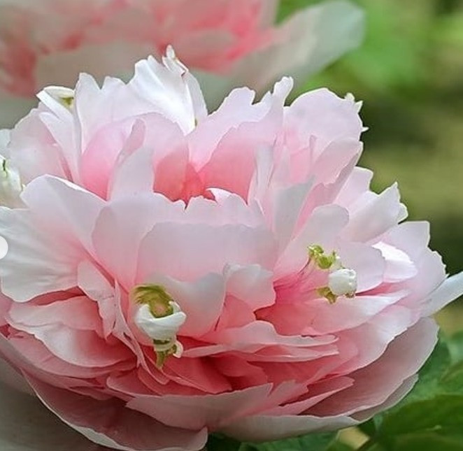 ���� �������. �������! 27.08. �������� ����� ����������� ������! ����-��������� �� ������