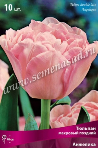 �������� ��������� ����������! �������� ���������� � �������.