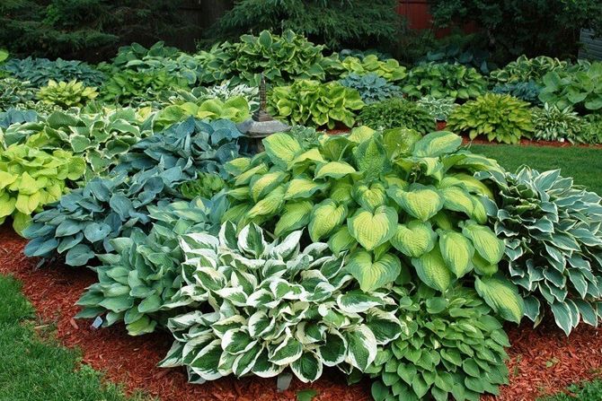 ������� ������! �������� ������� � ��� �� ���������� ������. ��������, �������, �����������-���������� ��������, ����, ������������. ����� No1. 5/21