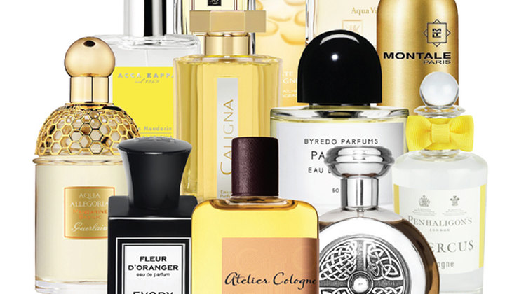 ���� �������. ������ ������� �� �������, ������ ������������ � ������� �������� ���������. ���� ������ � ���. ������ 5%[/b]