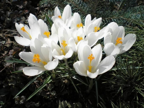 ���������� ����� � ������������