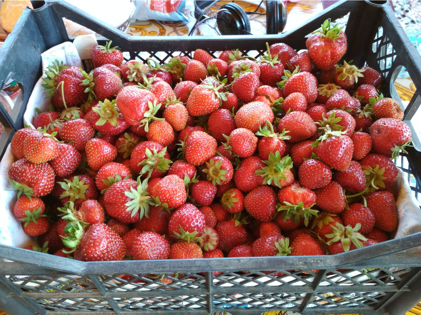 ��� �������� ����� � ������