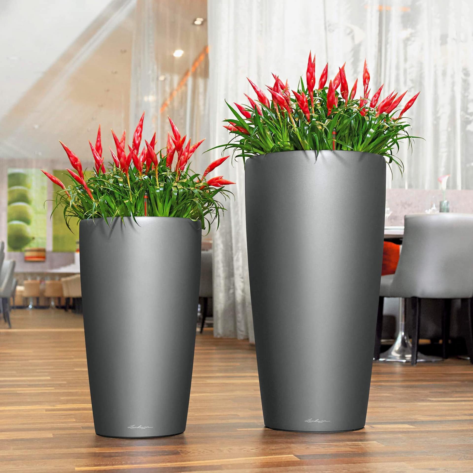 ����� ������ � ���� ������!������-������, ��������� ������.