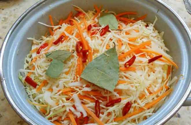 �������� ������ ����� ������� ��������� ������������ ������� �� ����