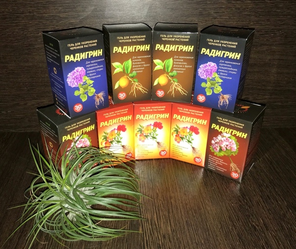 ������� - ���� ��� ���������� �������� ��������