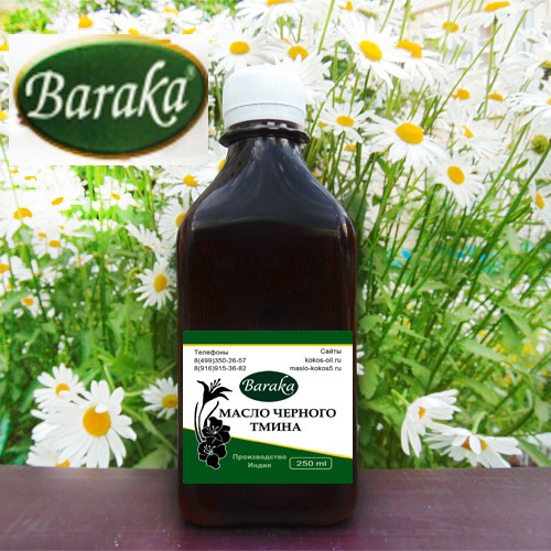 ���� �� 03.11. �� �������������� ��������. ����� ������� ����� ��� ������ ����������, ��������� ����� ����������� ��������, ������ ��������� ����� - ����� ���� � ������ ������. ������� ��������� � ��������� ���������